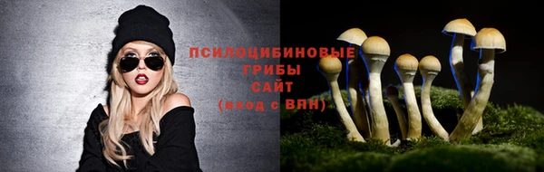 скорость Ладушкин