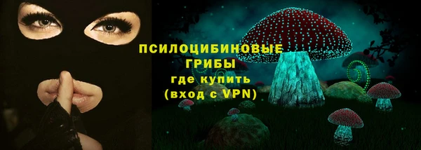 гидра Лиски
