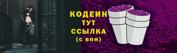 соль ск Лагань
