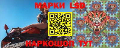 трава Гатчина