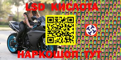 прущие крисы Гай