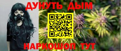 трава Гатчина