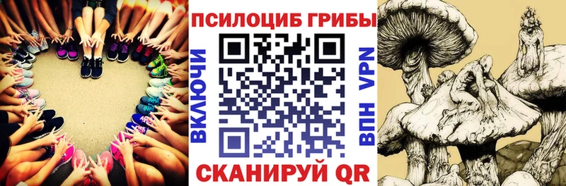 Псилоцибиновые грибы Psilocybine cubensis  Майский 