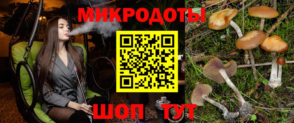 Галлюциногенные грибы мухоморы Майский