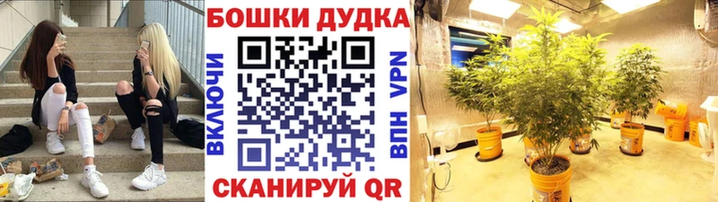 Канабис VHQ  MEGA онион  Майский  даркнет сайт 