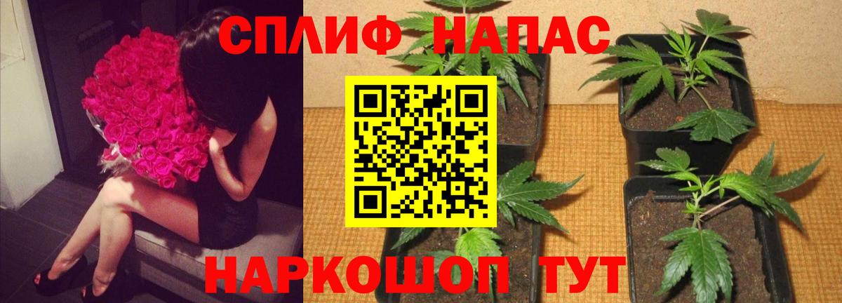 Шишки марихуана марихуана Майский